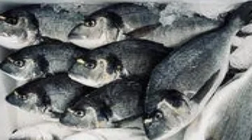 تغيرات في أسعار السمك بأسواق مصر خلال تعاملات يوم الأحد 22 مارس